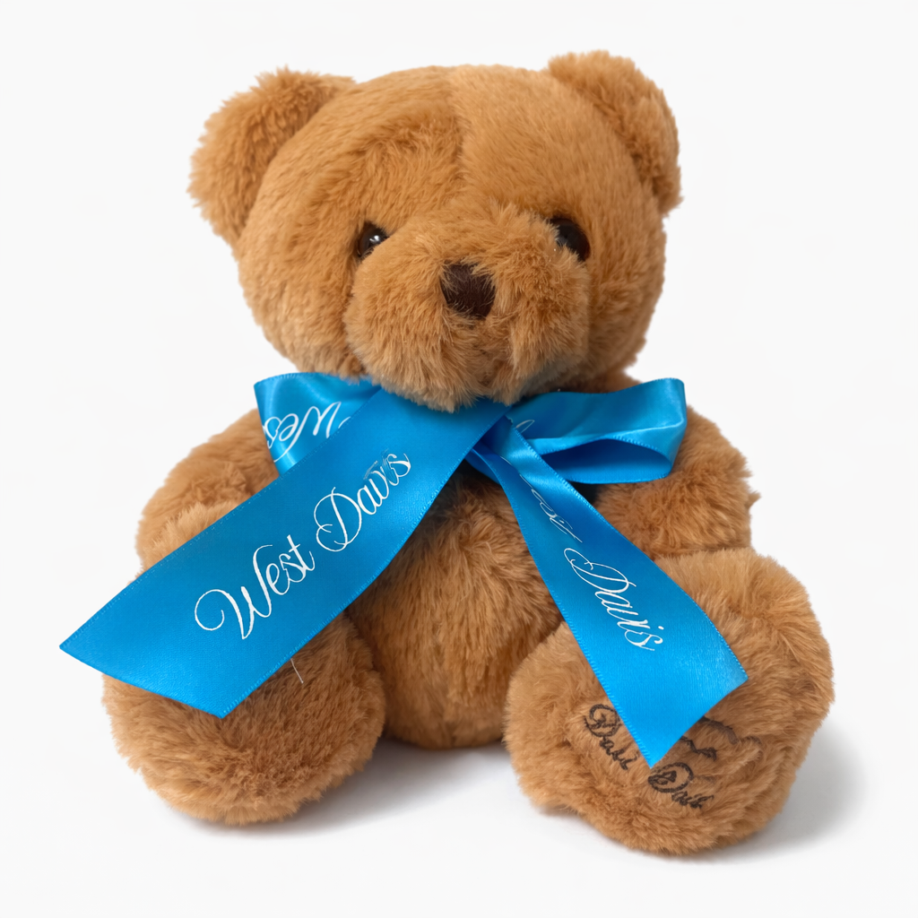 West Davis Snuggle Bear